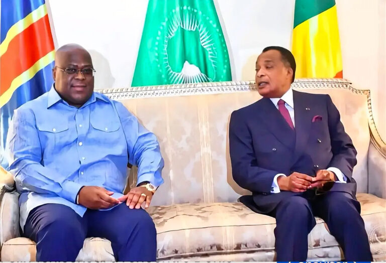 Congo – Rd Congo: Pont Route-Rail Kinshasa -Brazzaville: un mégaprojet suscitant  autant d&rsquo;enthousiasme que de controverses