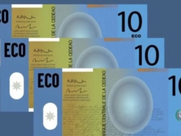 Apercu sur la monnaie Éco