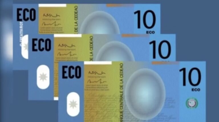 Apercu sur la monnaie Éco
