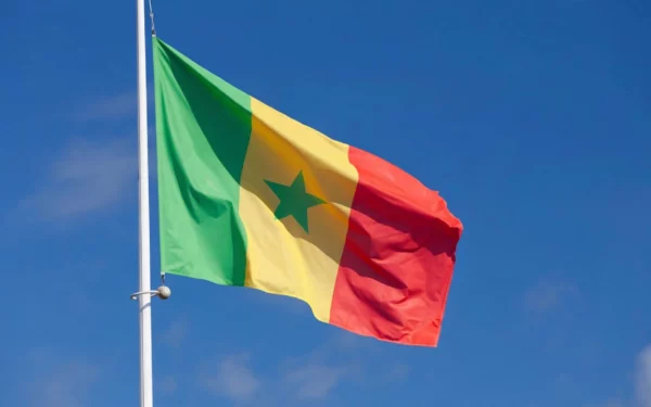 Le drapeau tricolore du sénégal