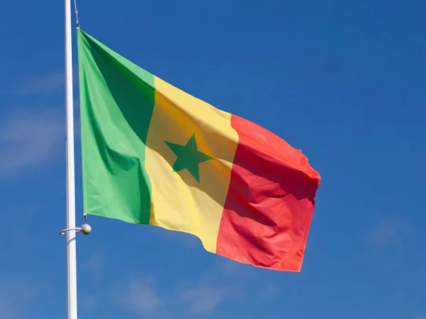 Le drapeau tricolore du sénégal